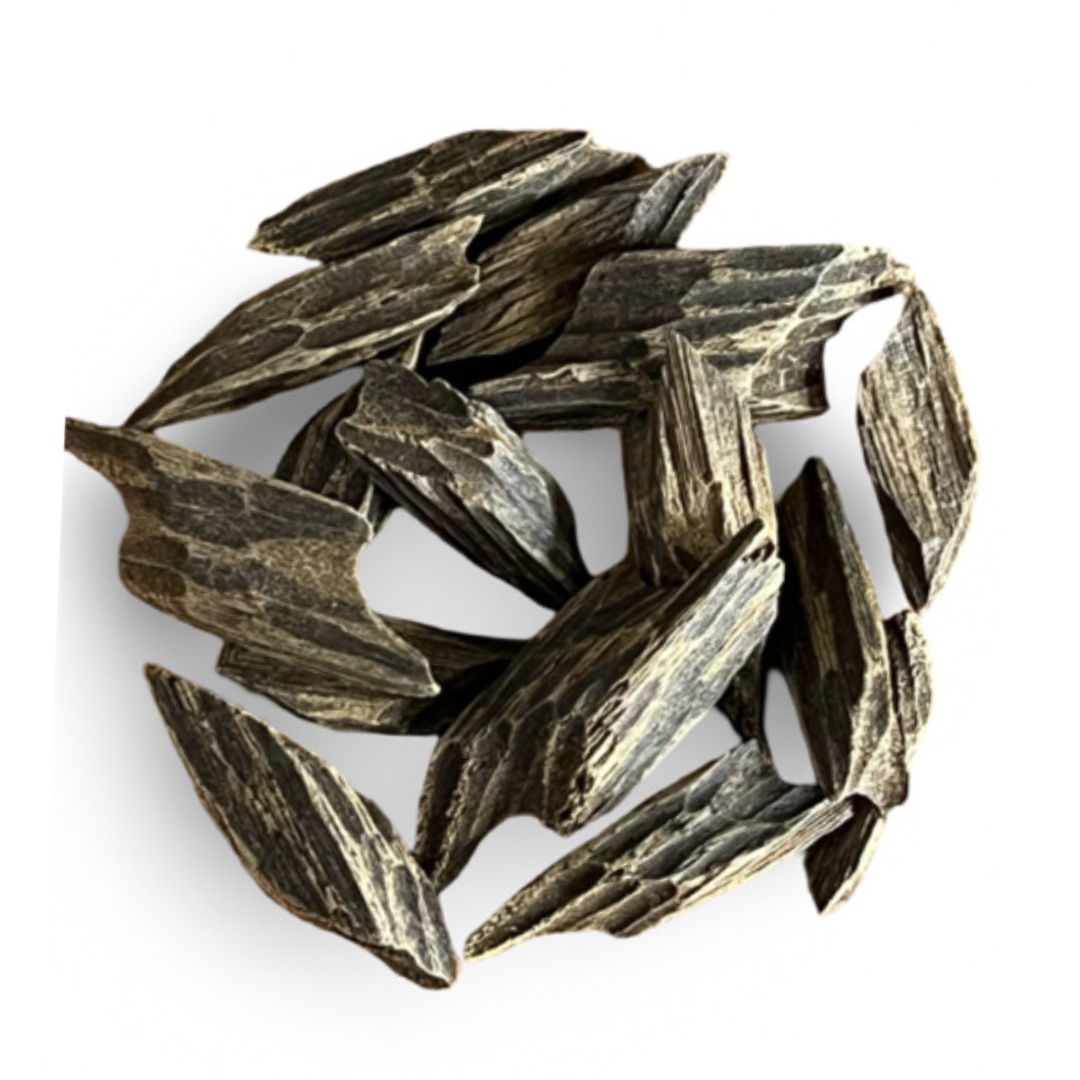 Vietnamese Tiger Oud | عود تايقر فيتنامي